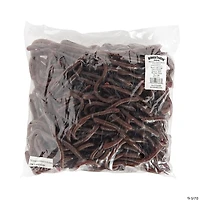 Bulk 144 Pc. Realistic Earthworms
