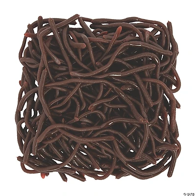 Bulk 144 Pc. Realistic Earthworms