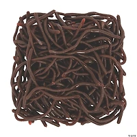 Bulk 144 Pc. Realistic Earthworms