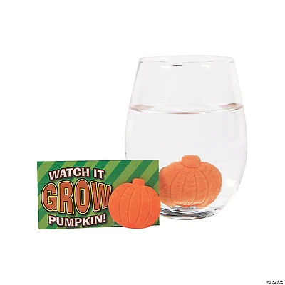 Bulk 48 Pc. Watch It Grow Pumpkin Water Growing Toys