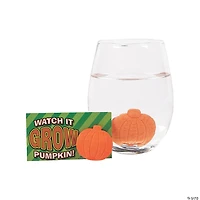 Bulk 48 Pc. Watch It Grow Pumpkin Water Growing Toys