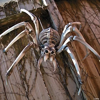 Bulk Giant Skeleton Spider Halloween Decorations - 4 Pc.