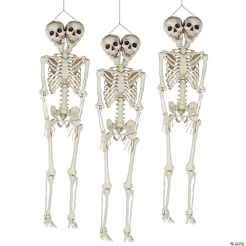 Bulk Two-Headed Life-Size Posable Skeleton Halloween Decorations