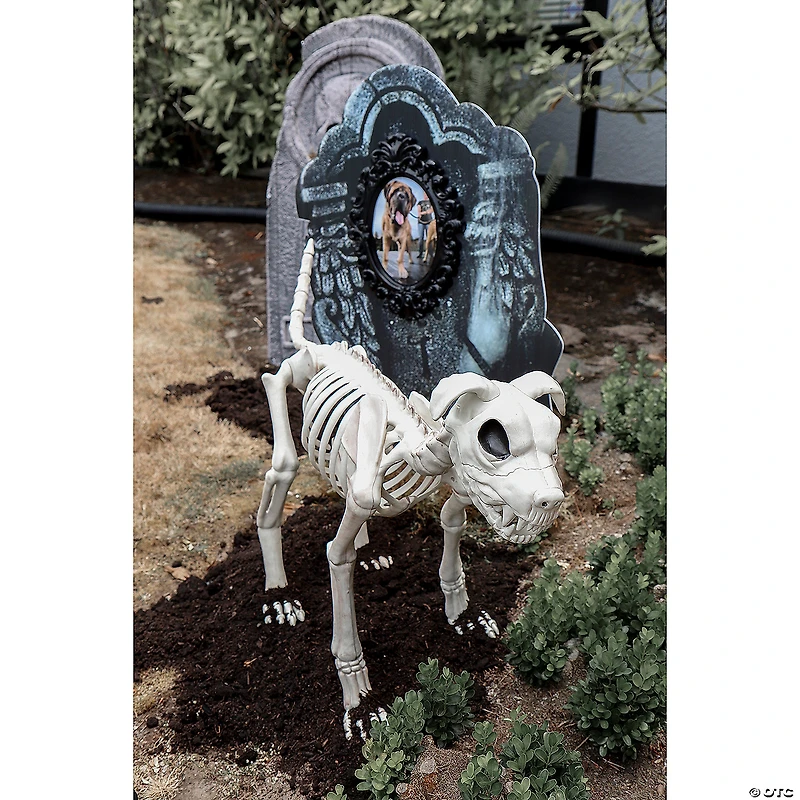 Buster Bonez Dog Skeleton Halloween Decoration