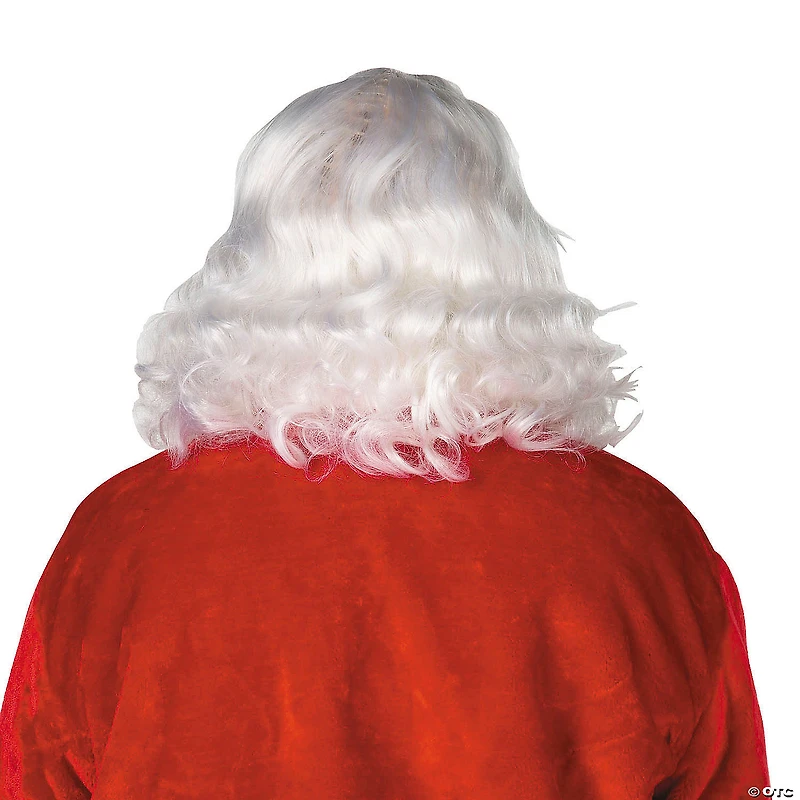 Deluxe Santa Wig & Beard
