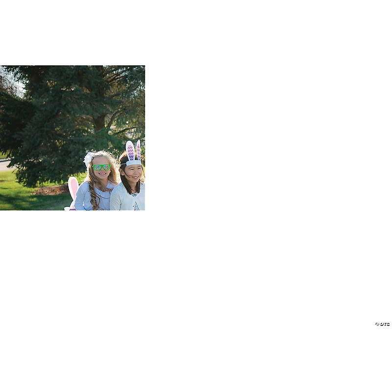 Easter Bunny Ears - 12 Pc.