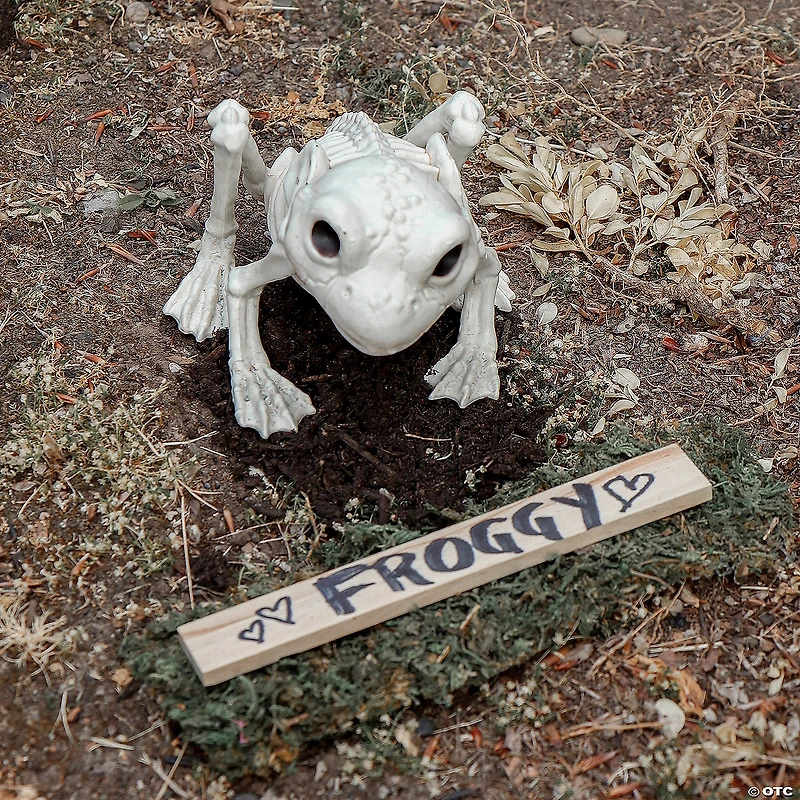 Frog Skeleton Decoration