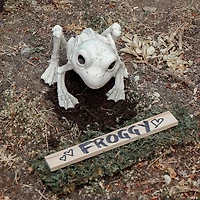 Frog Skeleton Decoration