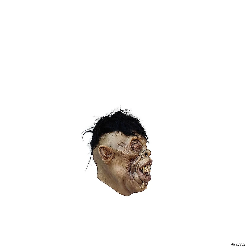 Ghoulish Productions Shrunken Head B-2 Halloween Decoration