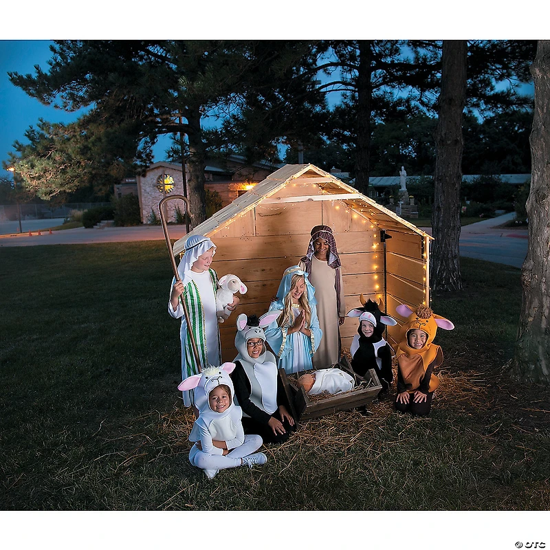 Girl’s Premium Mary Costume