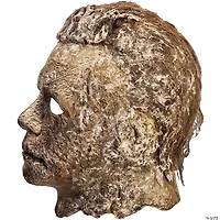 Halloween Ends™ Michael Myers Adults Overhead Latex Mask - One Size