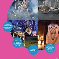 Halloween Mythical Skeleton Decorating Kit