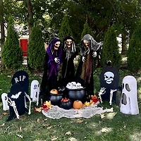 Halloween Witches Yard Stakes