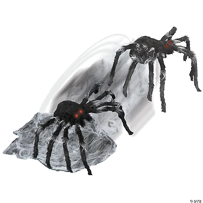Jumping Spider