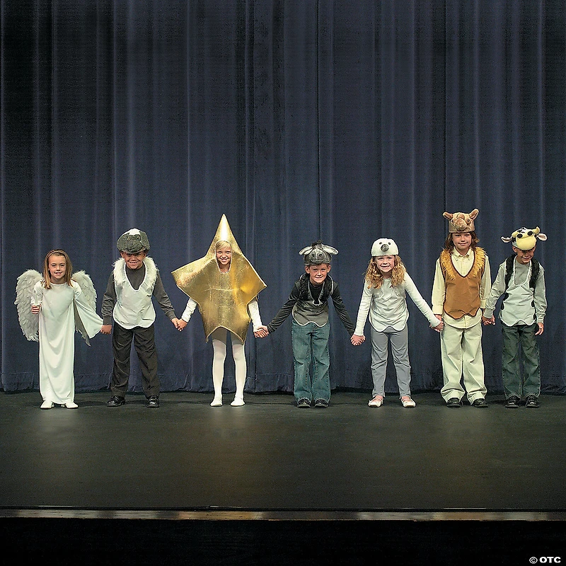 Kids Gold Star Costume