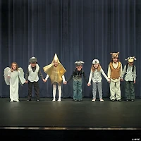 Kids Gold Star Costume