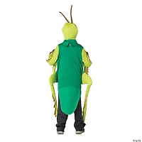 Kids Grasshopper Costume