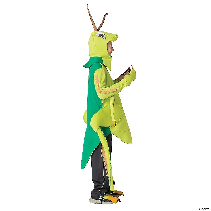 Kids Grasshopper Costume