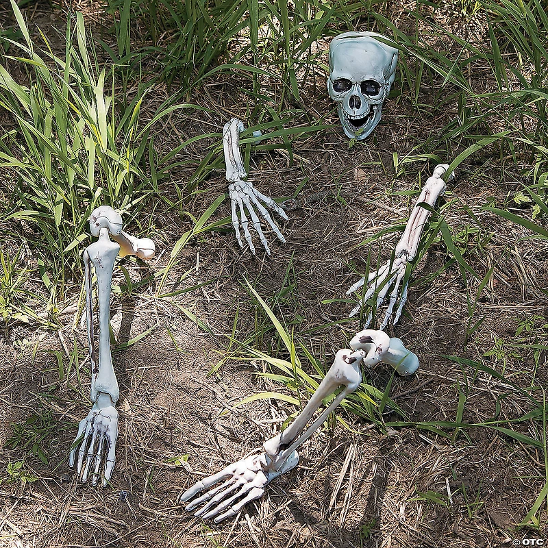 Life-Size Skeleton Yard Halloween Decoration