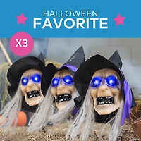 Light-Up Witch Head Yard Stake Halloween Decorations