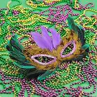Mardi Gras Feather Mask Assortment- 12 Pc.