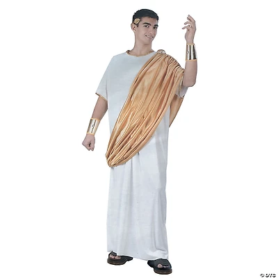Men's Julius Caesar Costume - Standard