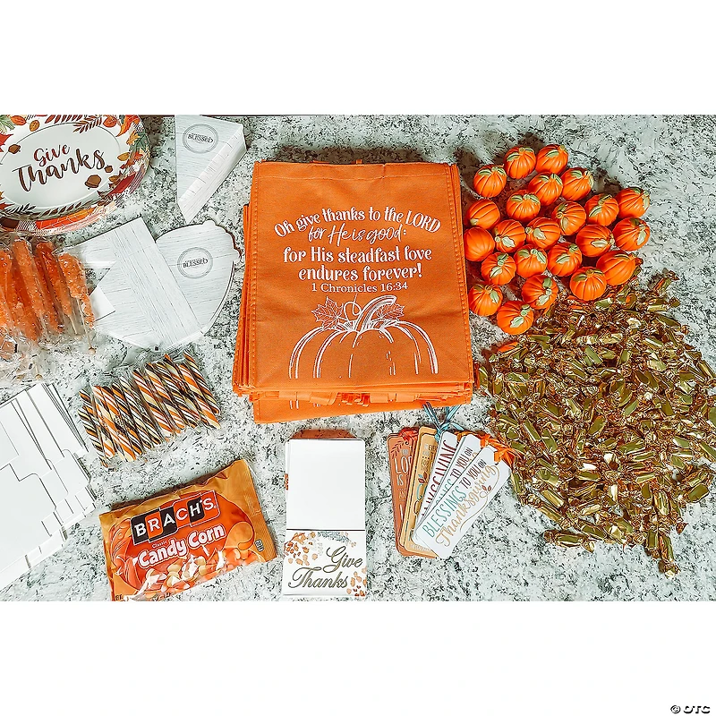 Mini Pumpkin Stress Toys - 24 Pc.