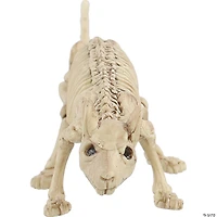 Mini Skeleton Rat Prop