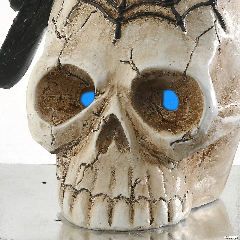 National Tree Company 11 in. Crow and Skull Lantern with LED Light
