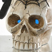 National Tree Company 11 in. Crow and Skull Lantern with LED Light