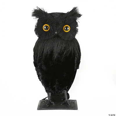 National Tree Company 11 in. Eerie Eyes Owl