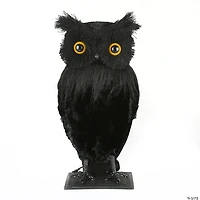 National Tree Company 11 in. Eerie Eyes Owl