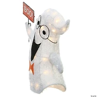 National Tree Company 18 in. Pre-Lit Happy Ghost Holding Sign