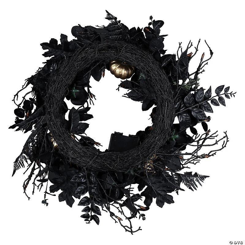 National Tree Company 24" Artificial Chic Eek Black and Gold Halloween Wreath, 40 Orange LED Lights, Battery Operated