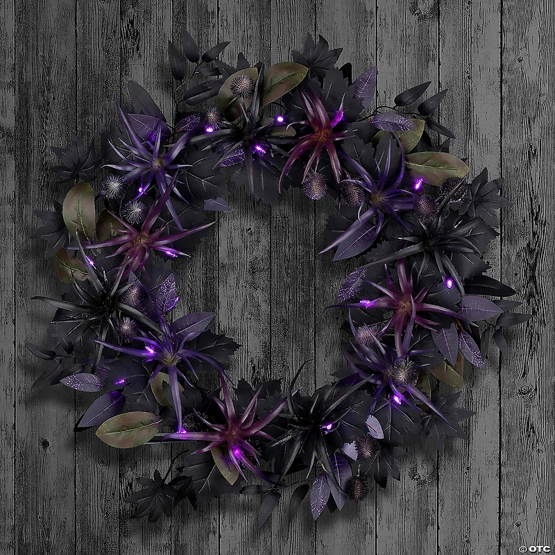 National Tree Company 24" Artificial Scare in the Air Halloween Wreath, 30 Purple LED Lights, Battery Operated