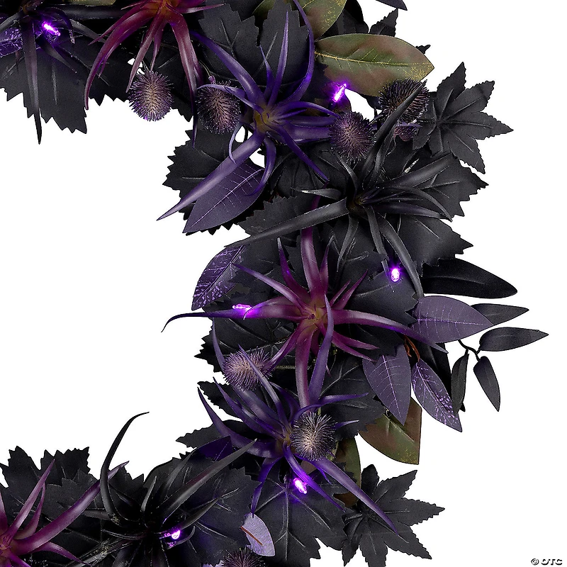 National Tree Company 24" Artificial Scare in the Air Halloween Wreath, 30 Purple LED Lights, Battery Operated