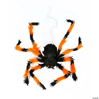 National Tree Company 27 in. Halloween Black and Orange Spider