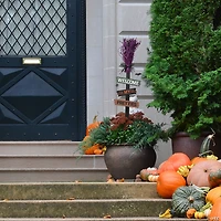 National Tree Company 33 in. Witch’s Broom Garden Stake