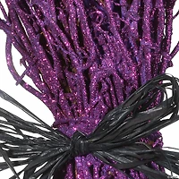 National Tree Company 33 in. Witch’s Broom Garden Stake