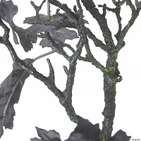 National Tree Company 4 ft. Black Oak Tree, Includes Black Urn Base