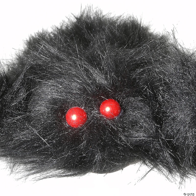 National Tree Company 50 in. Black Spider Halloween Decoration