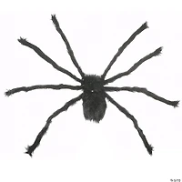 National Tree Company 50 in. Black Spider Halloween Decoration