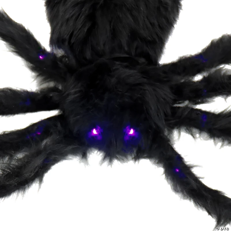 National Tree Company 50 in. Halloween Spider, LED Lights- Battery Operated