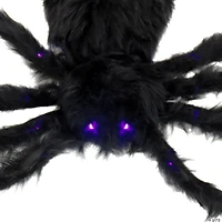 National Tree Company 50 in. Halloween Spider, LED Lights- Battery Operated