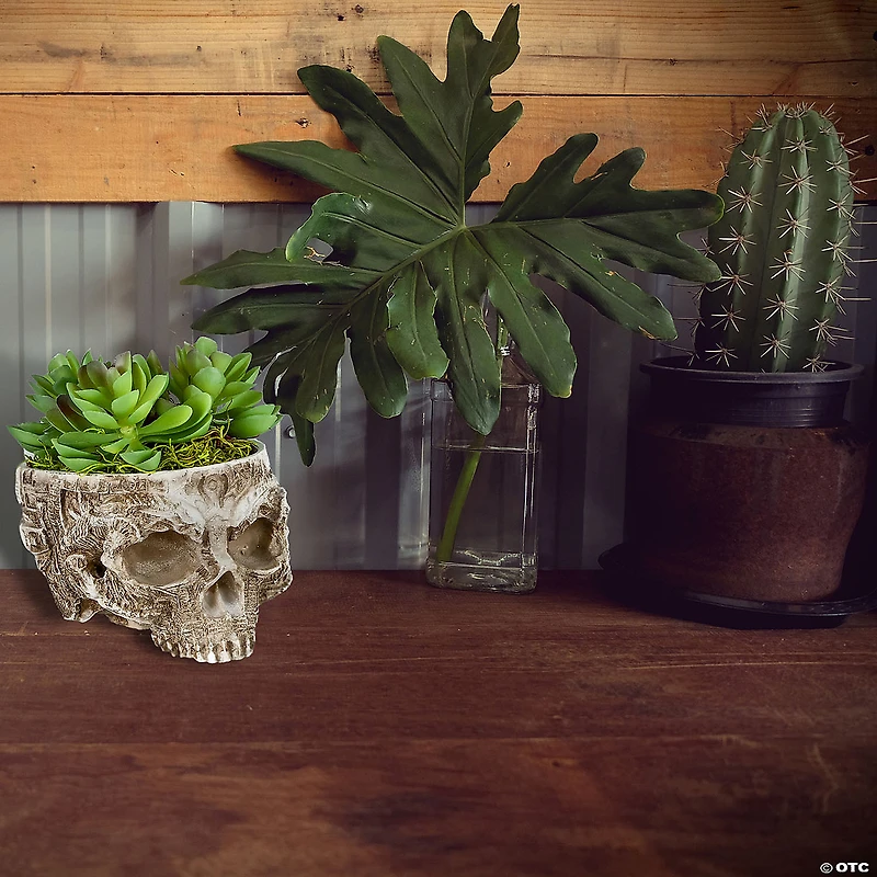 National Tree Company 6 in. Halloween Half Skull Flowerpot
