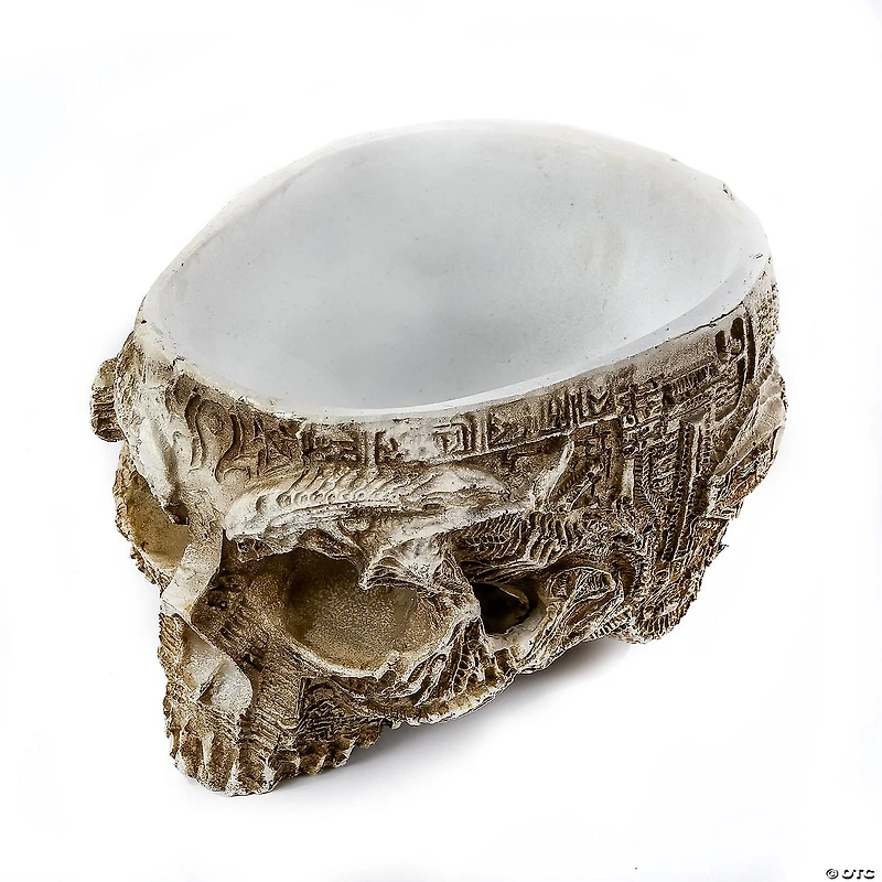 National Tree Company 6 in. Halloween Half Skull Flowerpot