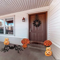 National Tree Company 63 in. Animated Halloween Crawling Spider, Sound Activated