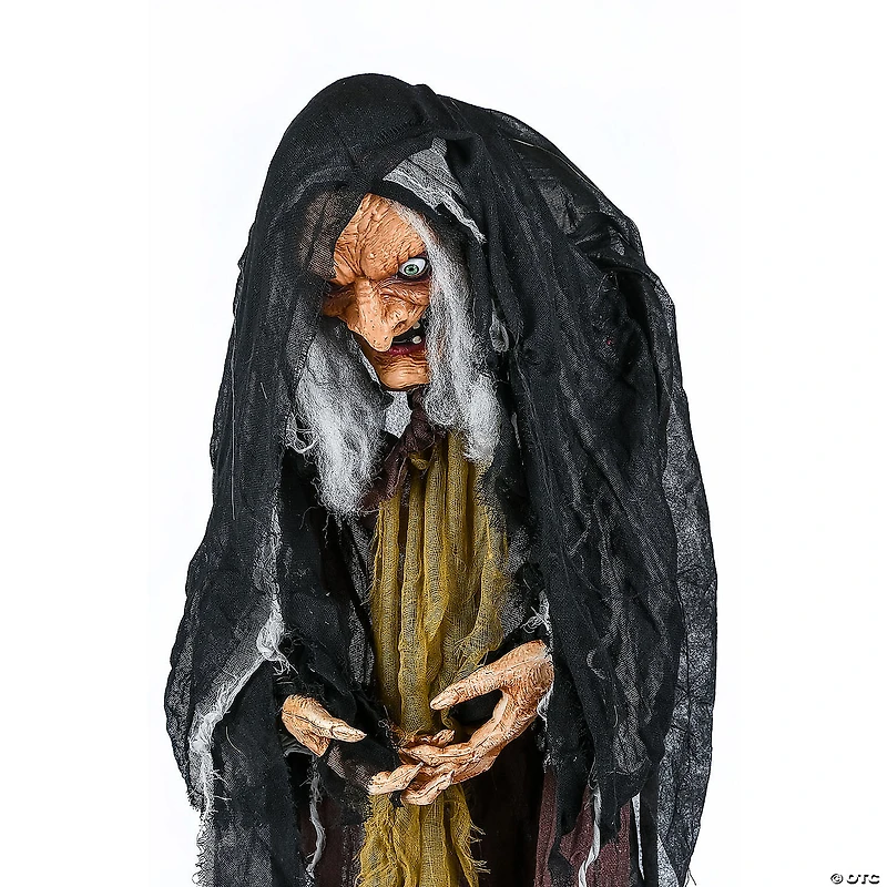 National Tree Company 63 in. Animated Halloween Old Hag Witch, Sound Activated
