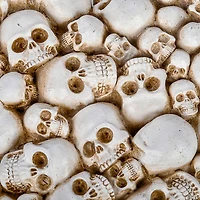 National Tree Company 9 in. Halloween Heart Shape Skulls