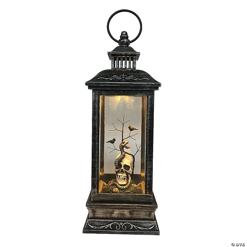 Northlight 11" LED Lighted Halloween Lantern with a White Skull Head
